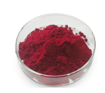 Uso terapêutico do pó vermelho escuro estável da vitamina B12